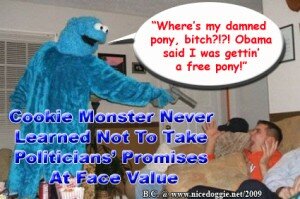 cookie-monster-pony