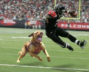 Michael Vick Chased By Dog